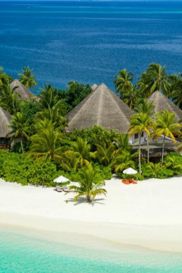 Cruise Brothers Travel Agent SHEILA CHISHOLM